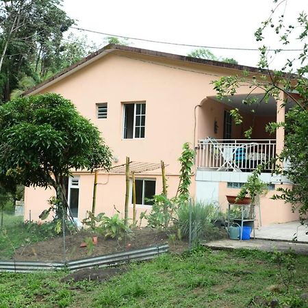 Maison Lavanne سانت-جوزيف المظهر الخارجي الصورة