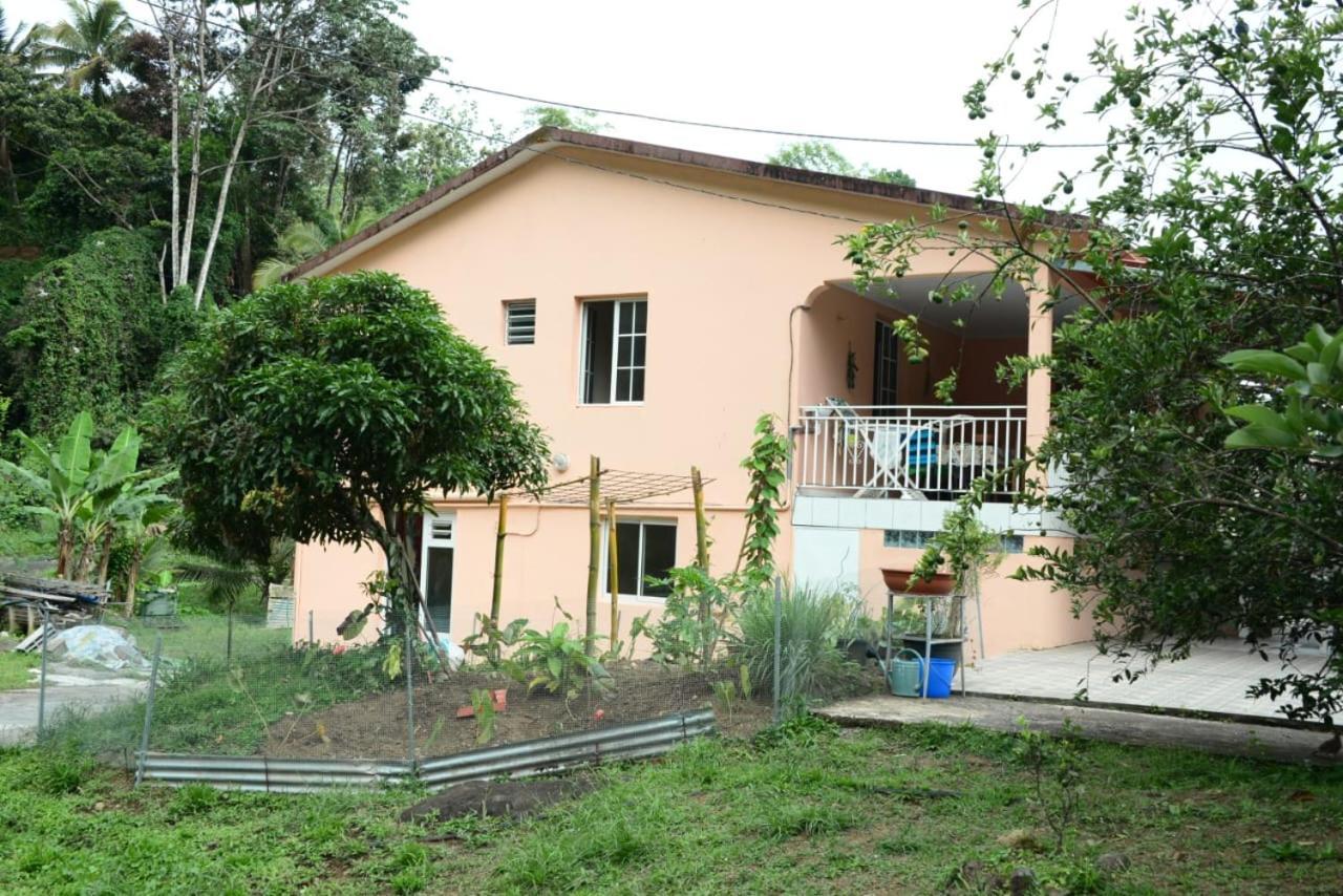 Maison Lavanne سانت-جوزيف المظهر الخارجي الصورة